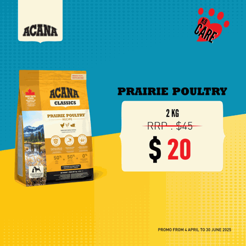 Online Pet Food Singapore